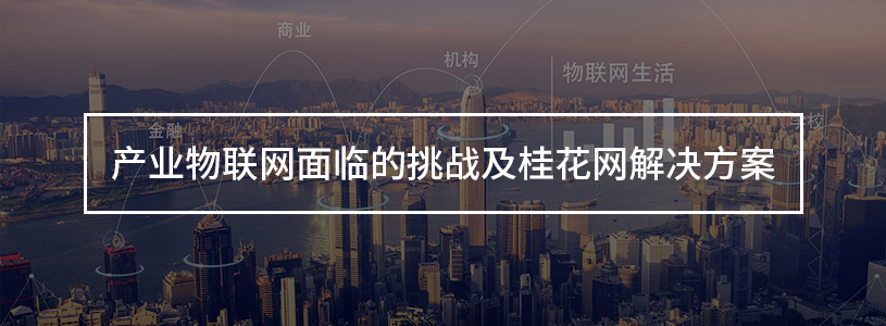 产业物联网面临的挑战及桂花网解决方案
